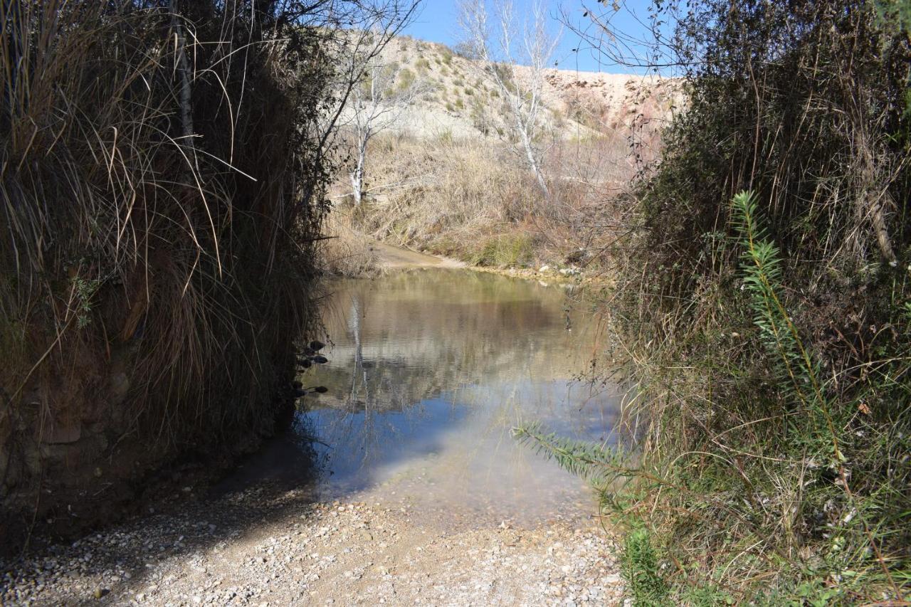 Villarias 43 Holiday home Archena